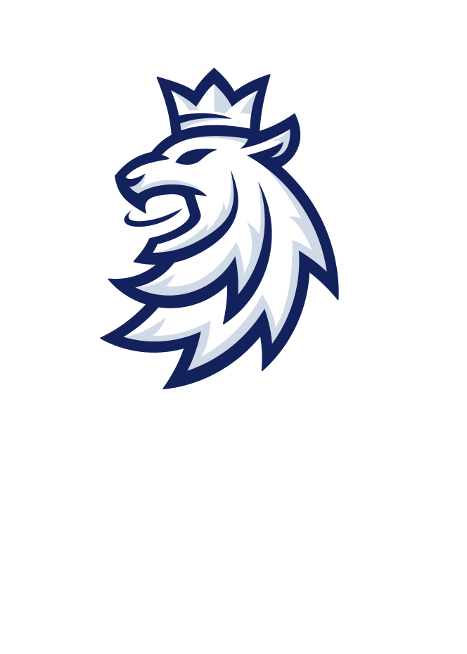 Český hokej